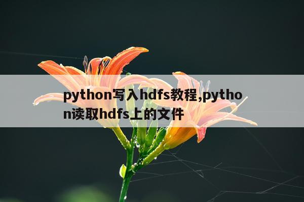 python写入hdfs教程,python读取hdfs上的文件
