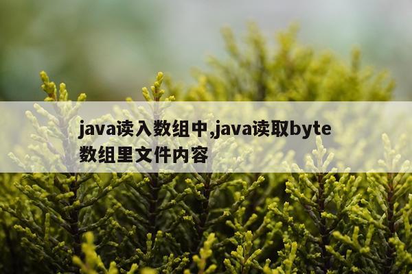 java读入数组中,java读取byte数组里文件内容