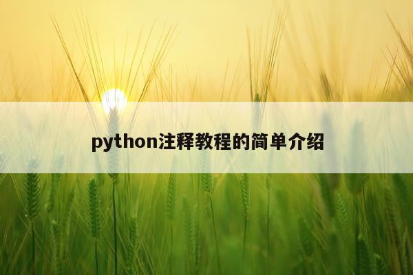 python注释教程的简单介绍