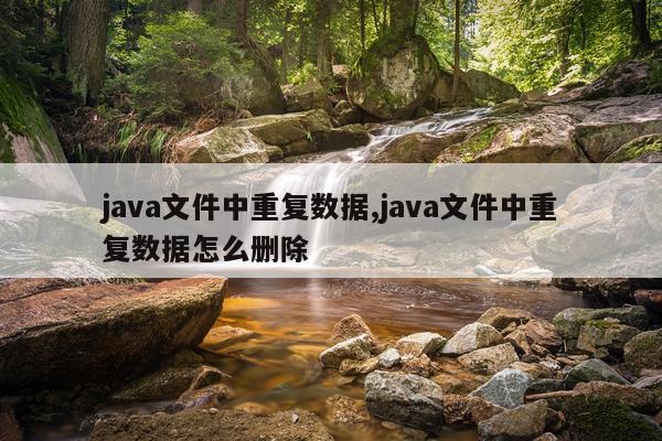 java文件中重复数据,java文件中重复数据怎么删除