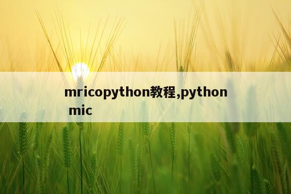 mricopython教程,python mic