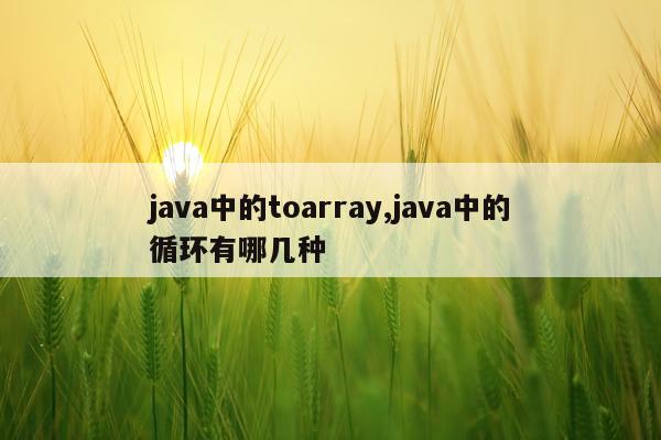 java中的toarray,java中的循环有哪几种