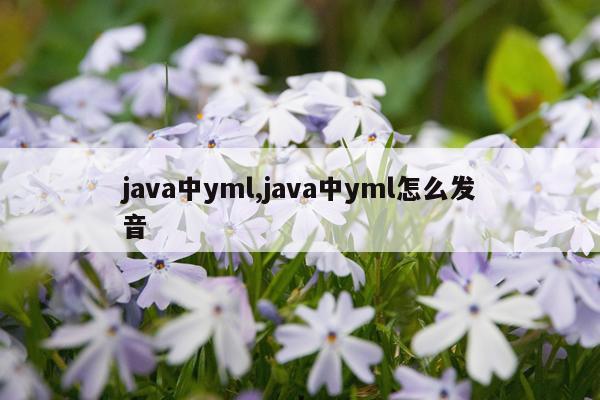 java中yml,java中yml怎么发音