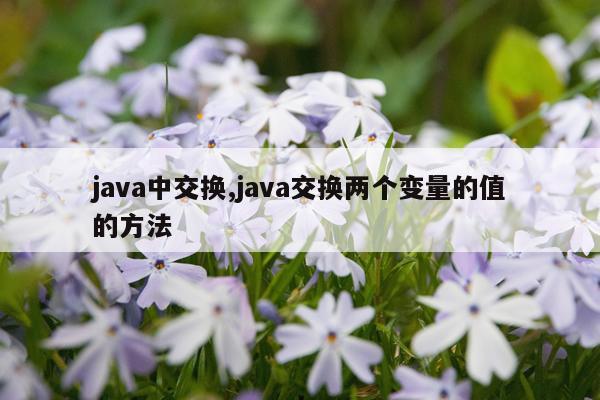 java中交换,java交换两个变量的值的方法