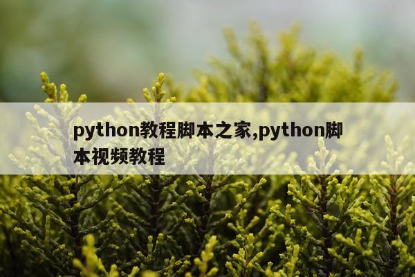 python教程脚本之家,python脚本视频教程