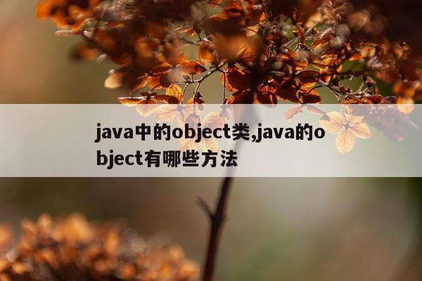 java中的object类,java的object有哪些方法