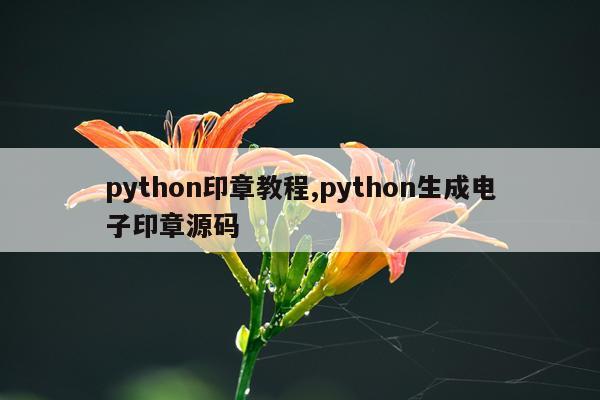 python印章教程,python生成电子印章源码