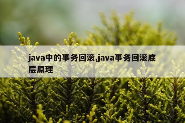 java中的事务回滚,java事务回滚底层原理