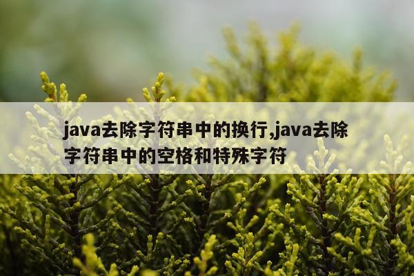java去除字符串中的换行,java去除字符串中的空格和特殊字符