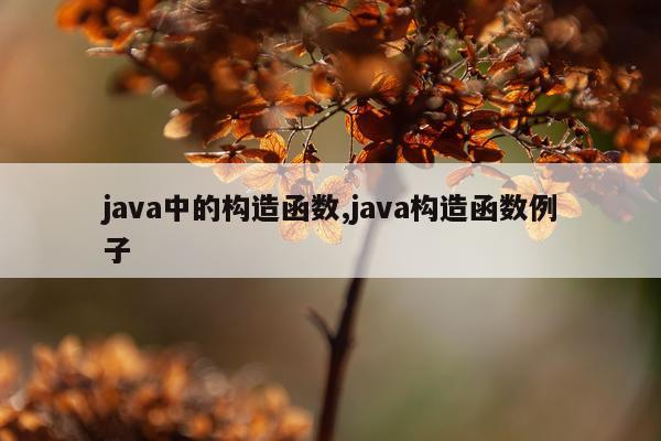 java中的构造函数,java构造函数例子