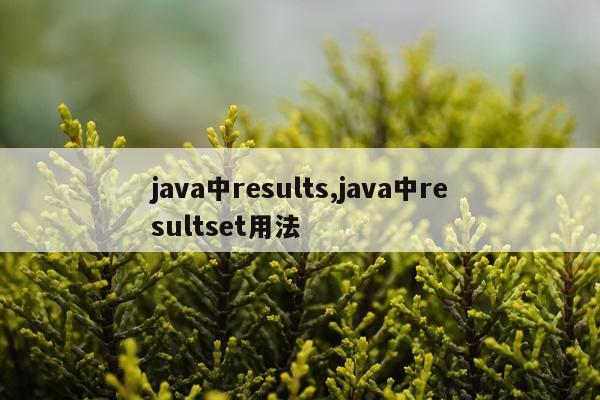 java中results,java中resultset用法