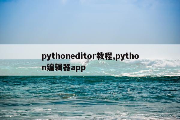 pythoneditor教程,python编辑器app