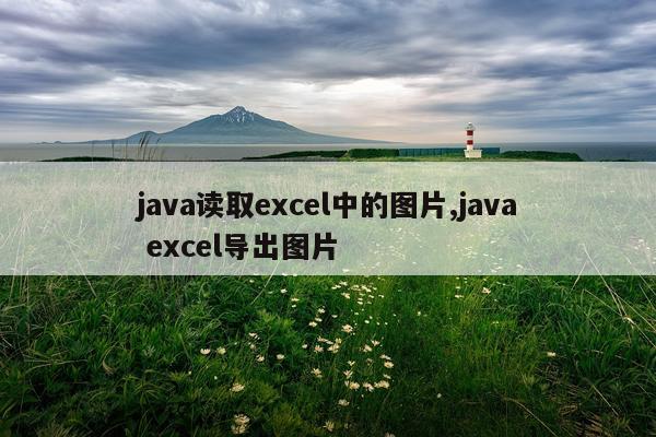 java读取excel中的图片,java excel导出图片