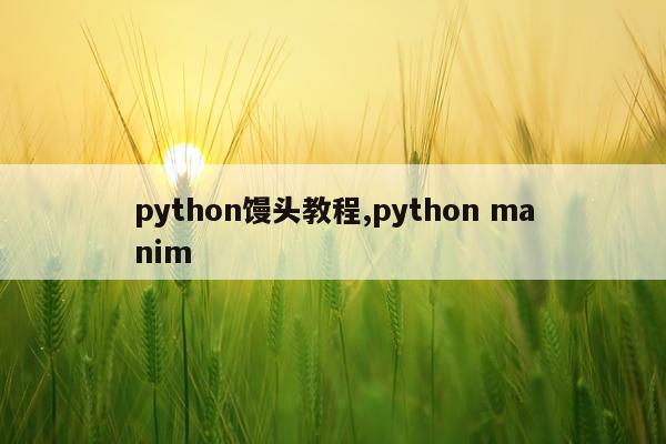 python馒头教程,python manim