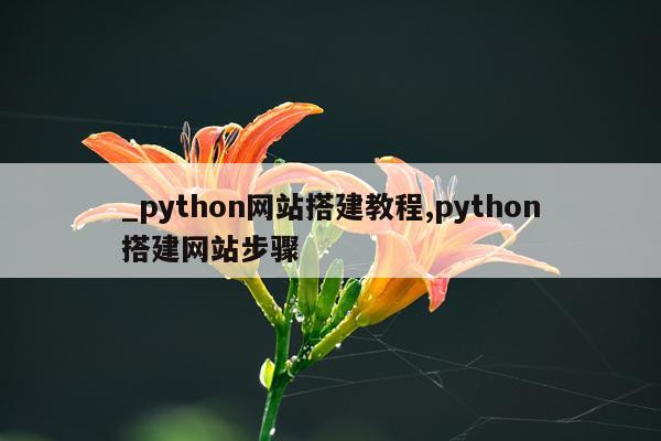 _python网站搭建教程,python搭建网站步骤