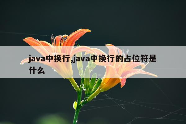 java中换行,java中换行的占位符是什么