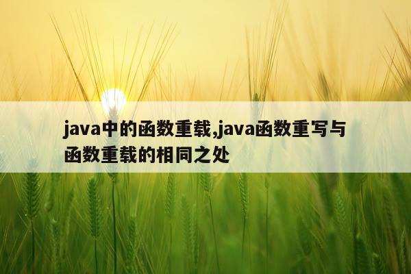 java中的函数重载,java函数重写与函数重载的相同之处