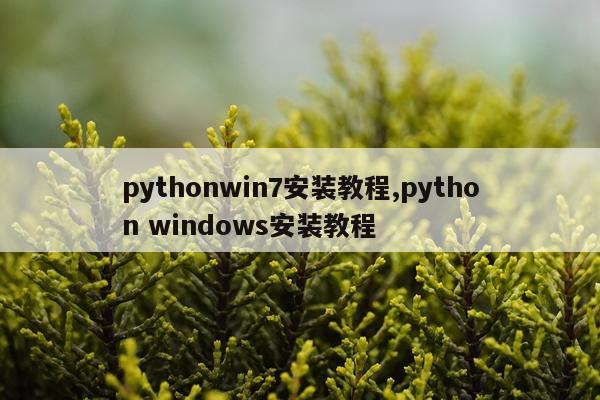 pythonwin7安装教程,python windows安装教程