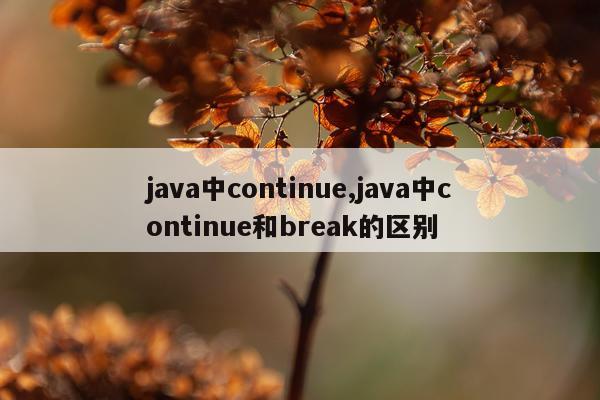 java中continue,java中continue和break的区别