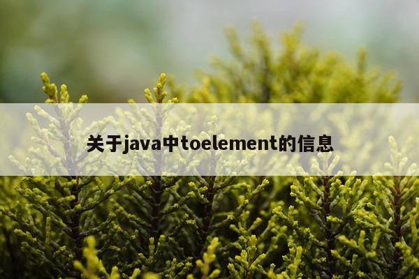 关于java中toelement的信息