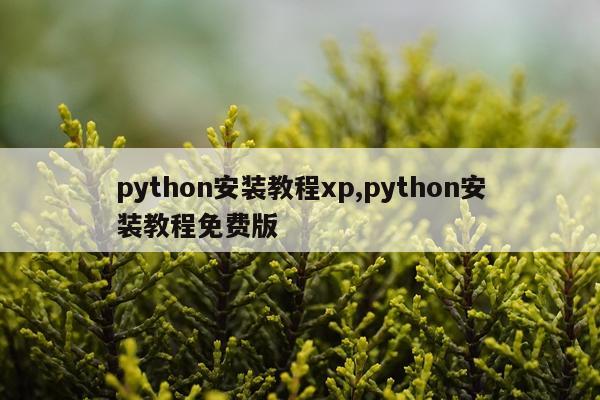 python安装教程xp,python安装教程免费版