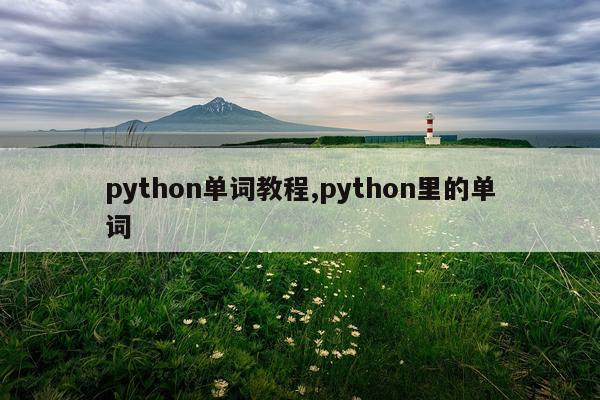 python单词教程,python里的单词