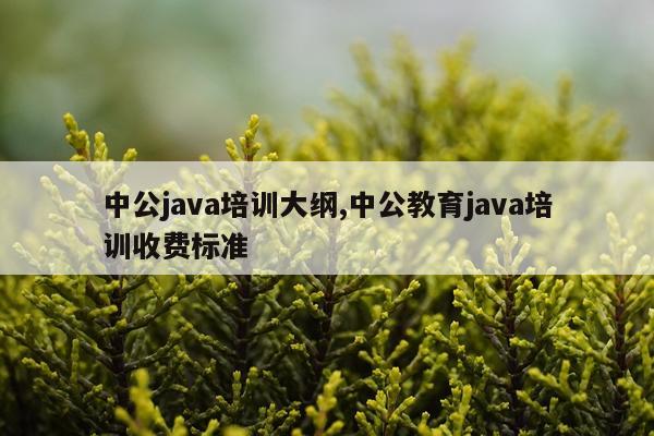 中公java培训大纲,中公教育java培训收费标准