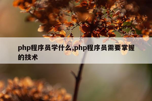 php程序员学什么,php程序员需要掌握的技术