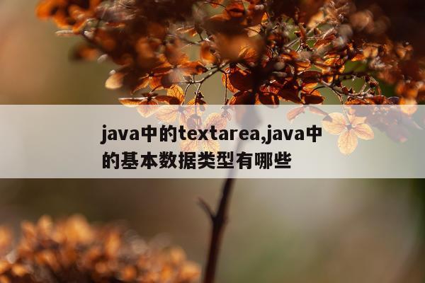 java中的textarea,java中的基本数据类型有哪些