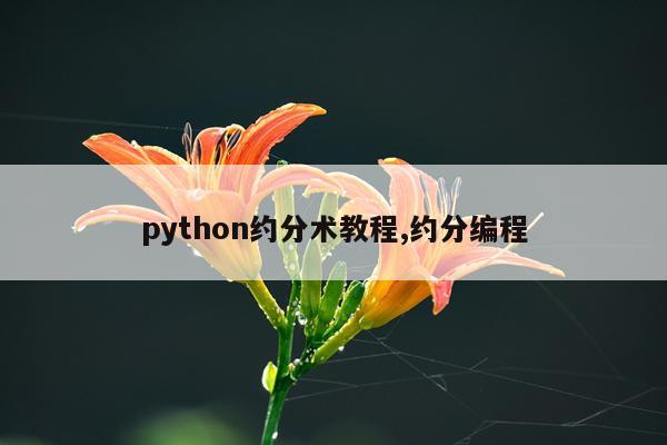 python约分术教程,约分编程