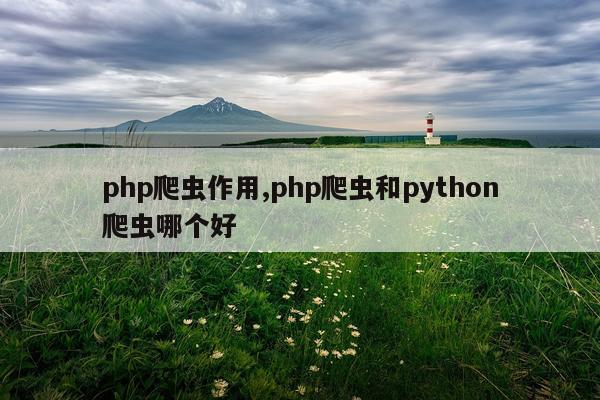 php爬虫作用,php爬虫和python爬虫哪个好