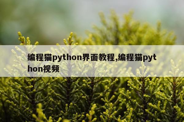 编程猫python界面教程,编程猫python视频