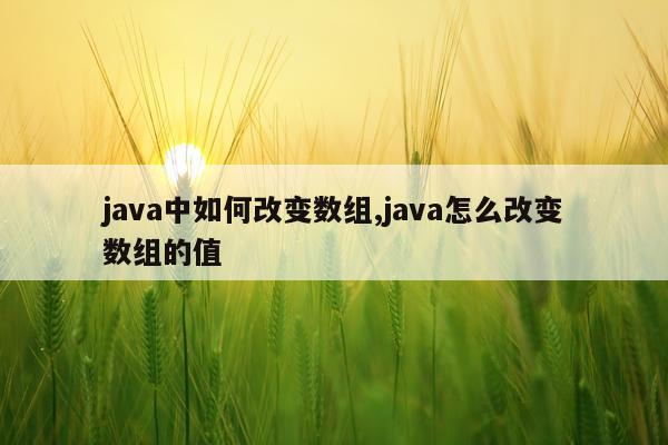 java中如何改变数组,java怎么改变数组的值