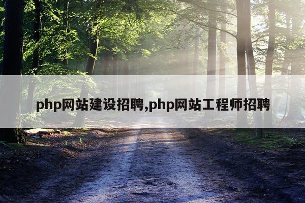 php网站建设招聘,php网站工程师招聘