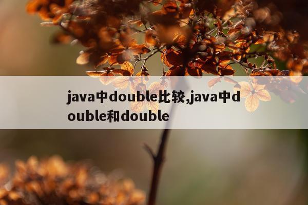 java中double比较,java中double和double