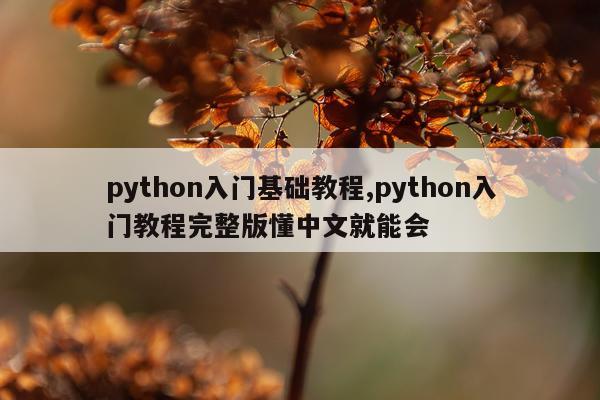 python入门基础教程,python入门教程完整版懂中文就能会