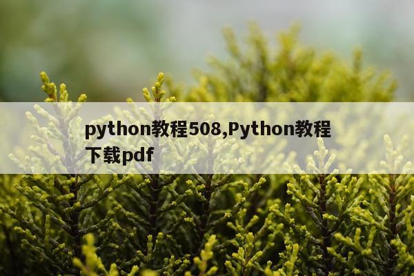 python教程508,Python教程下载pdf