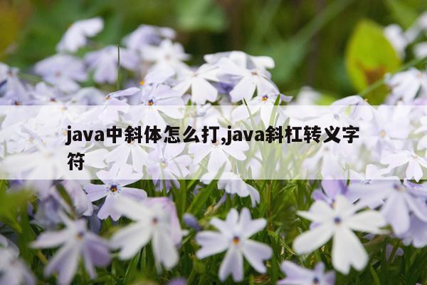 java中斜体怎么打,java斜杠转义字符