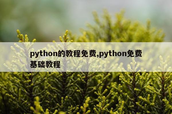 python的教程免费,python免费基础教程