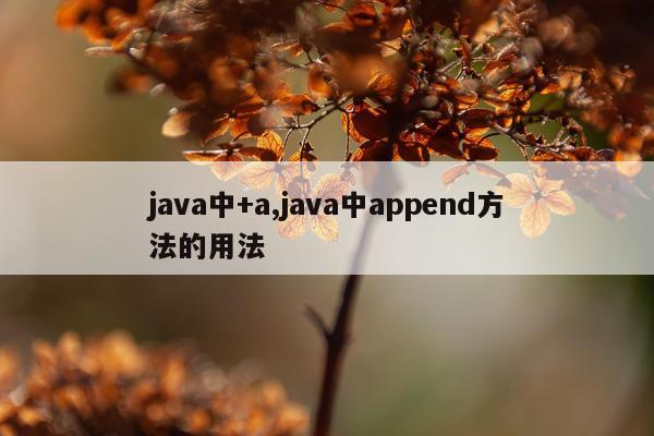 java中+a,java中append方法的用法
