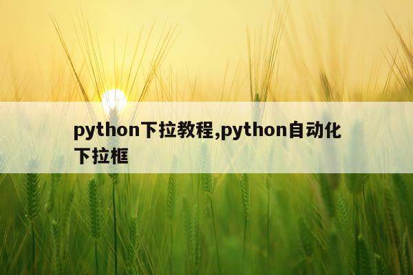python下拉教程,python自动化下拉框