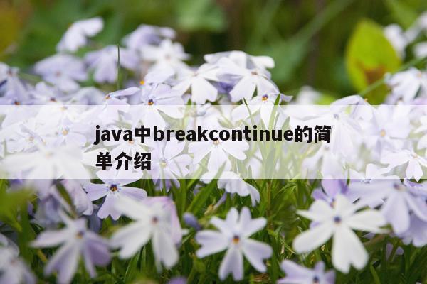 java中breakcontinue的简单介绍