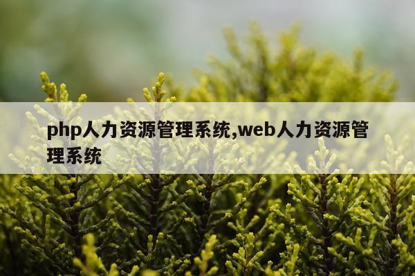 php人力资源管理系统,web人力资源管理系统