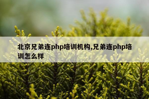 北京兄弟连php培训机构,兄弟连php培训怎么样