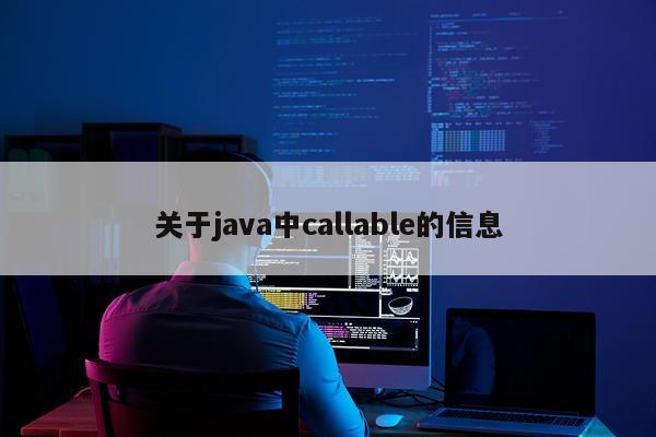 关于java中callable的信息