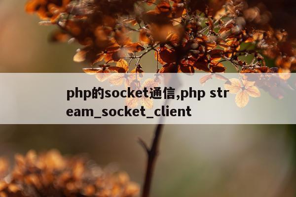php的socket通信,php stream_socket_client