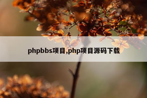 phpbbs项目,php项目源码下载