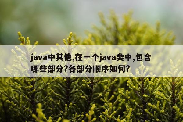 java中其他,在一个java类中,包含哪些部分?各部分顺序如何?