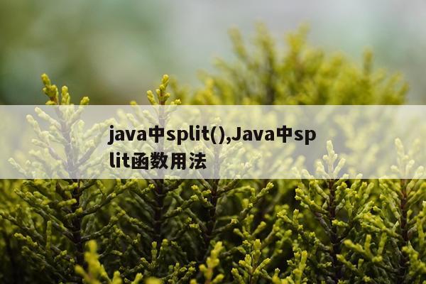 java中split(),Java中split函数用法