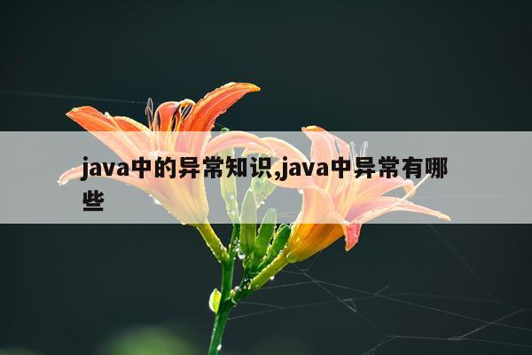java中的异常知识,java中异常有哪些